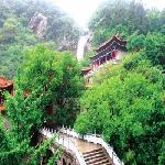 ������Ƭ